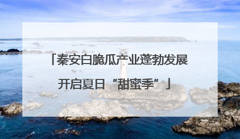 秦安白脆瓜产业蓬勃发展 开启夏日“甜蜜季”