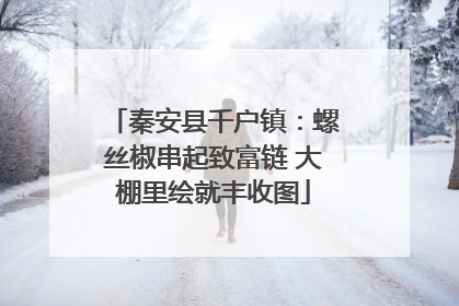 秦安县千户镇：螺丝椒串起致富链 大棚里绘就丰收图