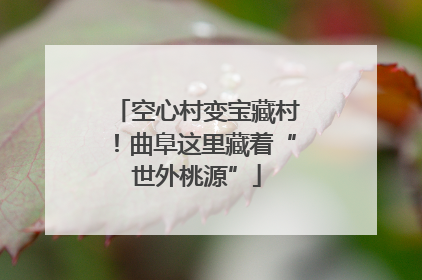 空心村变宝藏村！曲阜这里藏着“世外桃源”