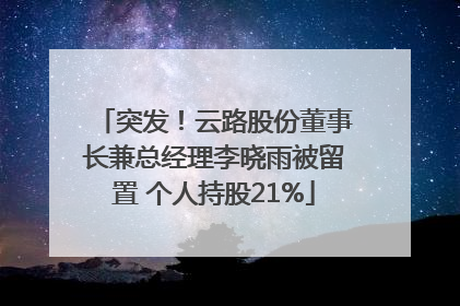 突发！云路股份董事长兼总经理李晓雨被留置 个人持股21%