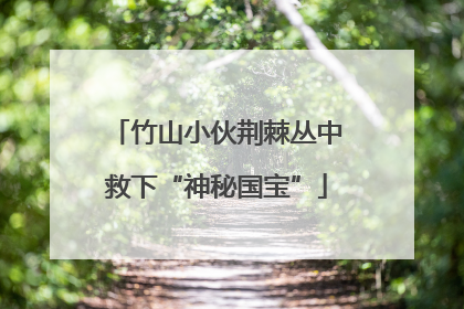 竹山小伙荆棘丛中救下“神秘国宝”