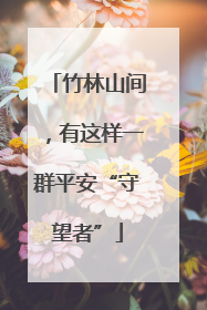 竹林山间，有这样一群平安“守望者”