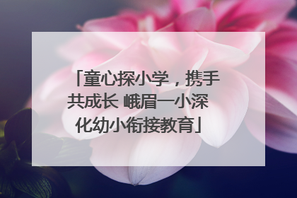 童心探小学，携手共成长 峨眉一小深化幼小衔接教育