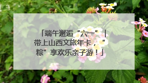 端午邂逅“六一”｜带上山西文旅年卡，“粽”享欢乐亲子游！