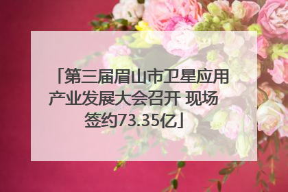 第三届眉山市卫星应用产业发展大会召开 现场签约73.35亿