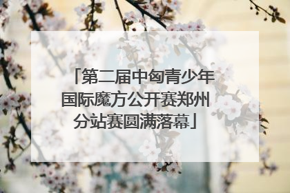 第二届中匈青少年国际魔方公开赛郑州分站赛圆满落幕
