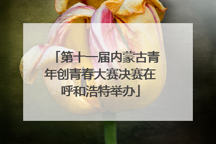 第十一届内蒙古青年创青春大赛决赛在呼和浩特举办