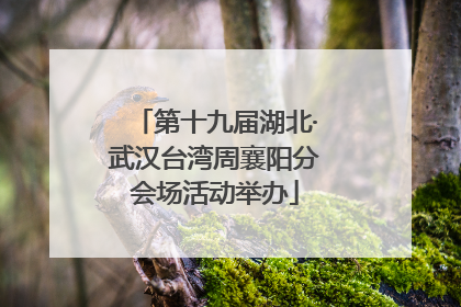 第十九届湖北·武汉台湾周襄阳分会场活动举办
