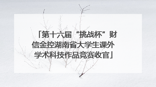 第十六届“挑战杯”财信金控湖南省大学生课外学术科技作品竞赛收官