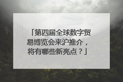 第四届全球数字贸易博览会来沪推介，将有哪些新亮点？