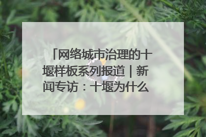 网络城市治理的十堰样板系列报道｜新闻专访：十堰为什么成为“黑马型”城市治理网络维度典型