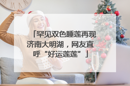 罕见双色睡莲再现济南大明湖，网友直呼“好运莲莲”