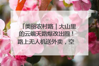 美丽农村路｜大山里的云端天路爆改出圈！路上无人机送外卖，空心村变网红村