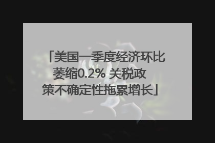 美国一季度经济环比萎缩0.2% 关税政策不确定性拖累增长