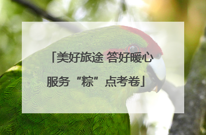 美好旅途 答好暖心服务“粽”点考卷