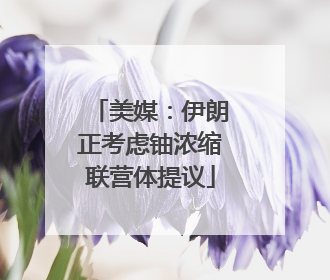 美媒：伊朗正考虑铀浓缩联营体提议