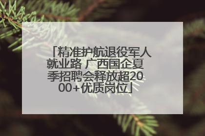 精准护航退役军人就业路 广西国企夏季招聘会释放超2000+优质岗位