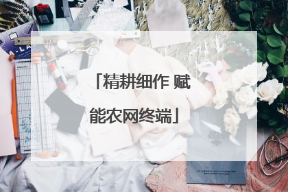精耕细作 赋能农网终端