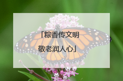 粽香传文明 敬老润人心
