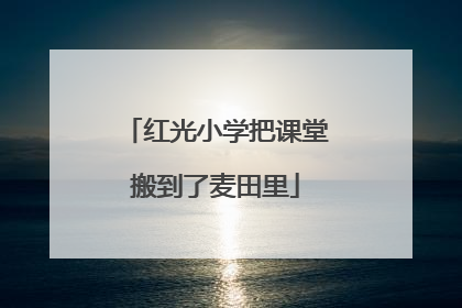 红光小学把课堂搬到了麦田里