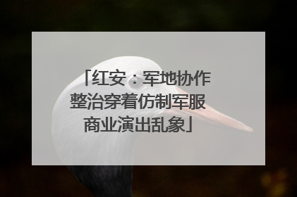 红安：军地协作整治穿着仿制军服商业演出乱象
