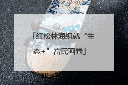 红松林海织就“生态+”富民画卷