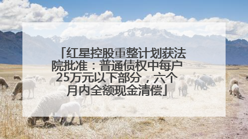 红星控股重整计划获法院批准：普通债权中每户25万元以下部分，六个月内全额现金清偿