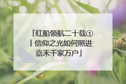 红船领航二十载①丨信仰之光如何照进嘉禾千家万户