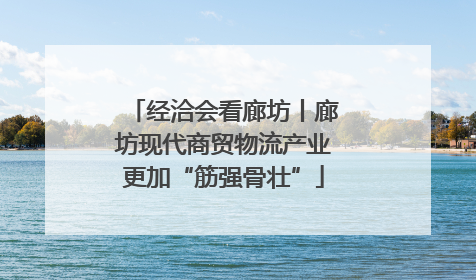 经洽会看廊坊丨廊坊现代商贸物流产业更加“筋强骨壮”