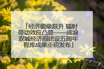 经济能级跃升 辐射带动效应凸显——成渝双城经济圈建设五周年智库成果重磅发布