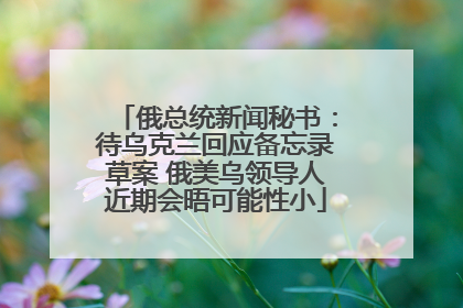 俄总统新闻秘书：待乌克兰回应备忘录草案 俄美乌领导人近期会晤可能性小