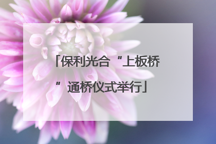 保利光合“上板桥”通桥仪式举行
