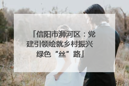 信阳市浉河区：党建引领绘就乡村振兴绿色“丝”路