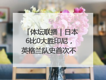 体坛联播｜日本6比0大胜印尼，英格兰队史首次不敌非洲球队