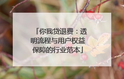 你我贷退费：透明流程与用户权益保障的行业范本