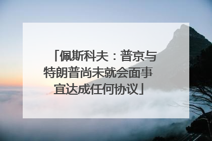 佩斯科夫：普京与特朗普尚未就会面事宜达成任何协议