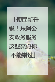 便民新升级！东阿公安政务服务这些亮点你不能错过
