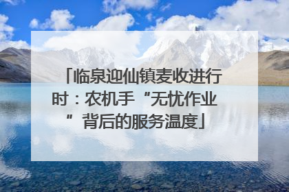 临泉迎仙镇麦收进行时：农机手“无忧作业”背后的服务温度