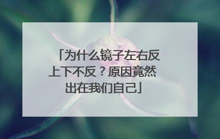 为什么镜子左右反上下不反？原因竟然出在我们自己
