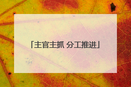 主官主抓 分工推进