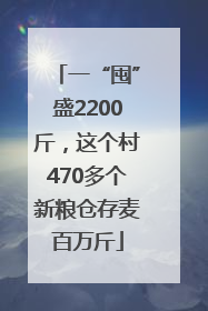 一“囤”盛2200斤，这个村470多个新粮仓存麦百万斤