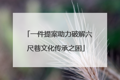 一件提案助力破解六尺巷文化传承之困
