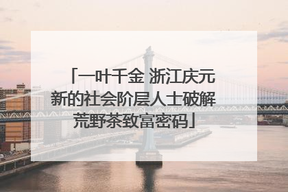 一叶千金 浙江庆元新的社会阶层人士破解荒野茶致富密码