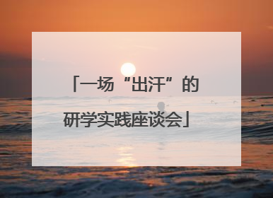 一场“出汗”的研学实践座谈会