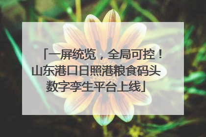 一屏统览，全局可控！山东港口日照港粮食码头数字孪生平台上线