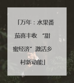 万年：水果番茄喜丰收 “甜蜜经济”激活乡村新动能