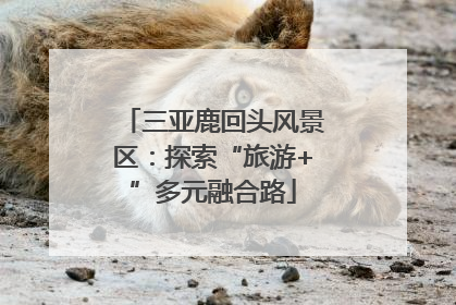三亚鹿回头风景区：探索“旅游+”多元融合路
