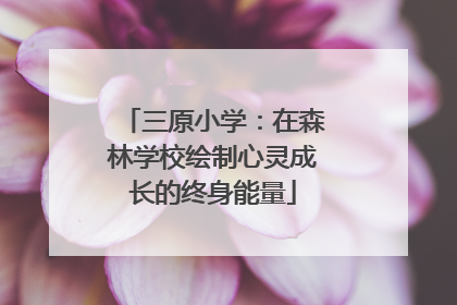 三原小学：在森林学校绘制心灵成长的终身能量