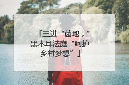 三进“菌地，”黑木耳法庭“呵护乡村梦想”
