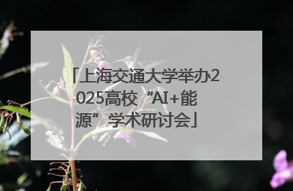 上海交通大学举办2025高校“AI+能源”学术研讨会